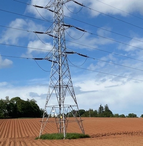 Overhead cable route raises biosecurity fears for farming land