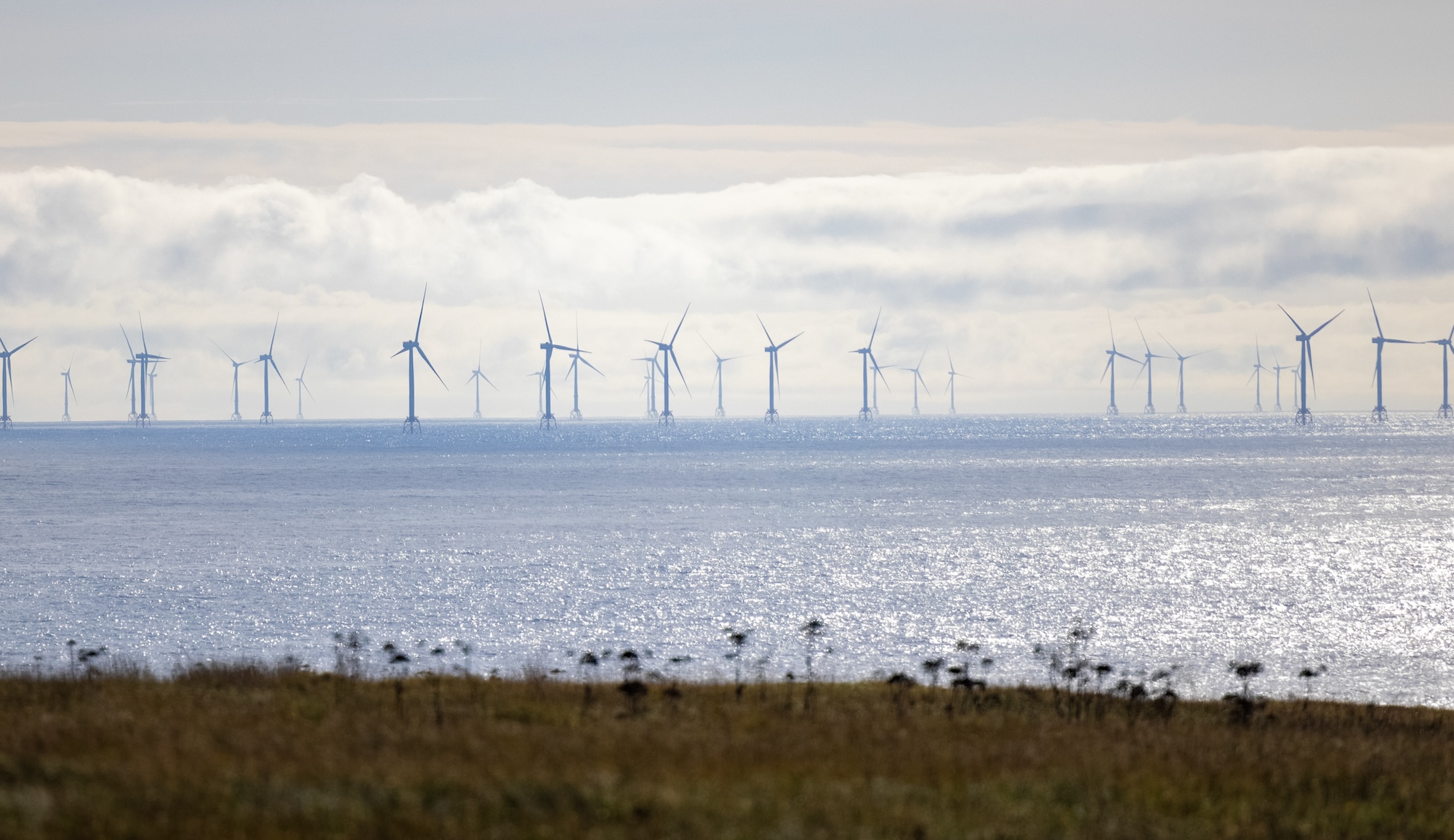 Beatrice Offshore Windfarm accepts £33.14m payment for licence breach