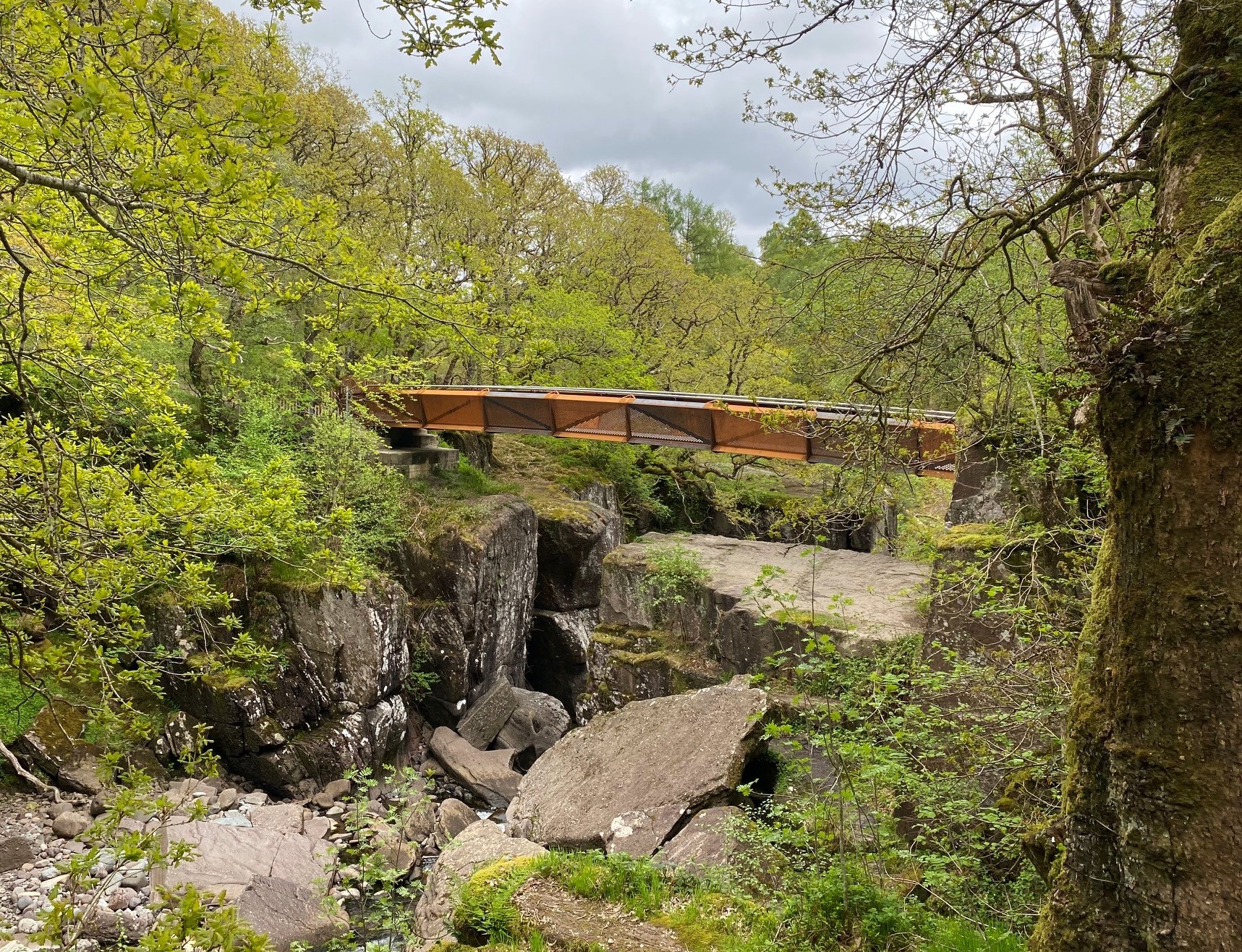 Bracklinn Falls wins global pedestrian & cycle bridge award