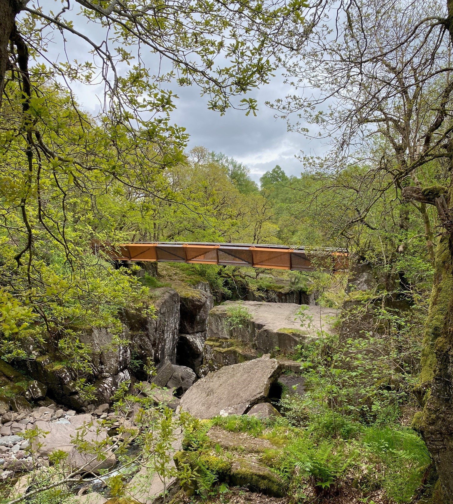 Bracklinn Falls wins global pedestrian & cycle bridge award