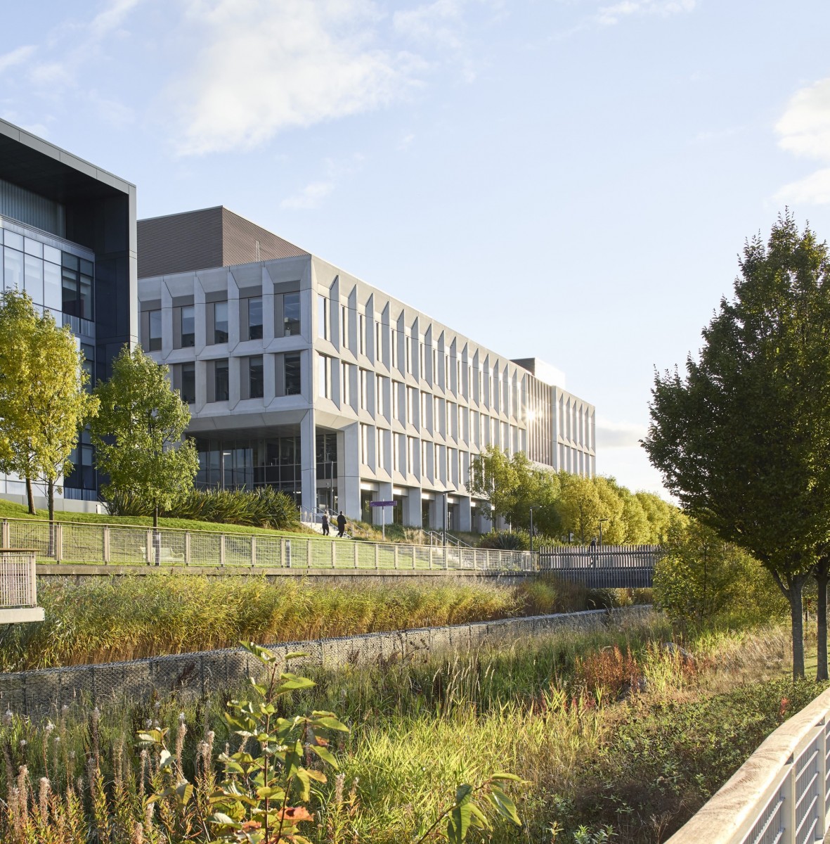 Architects' Showcase: Hassell puts health first with new University of Edinburgh building