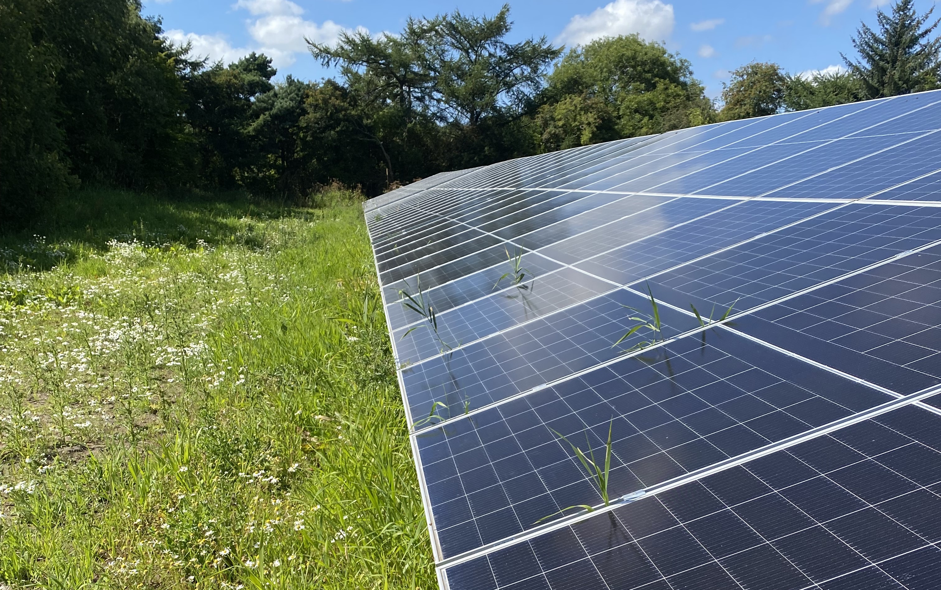 Scottish Water delivers £1.4m solar scheme near Edinburgh