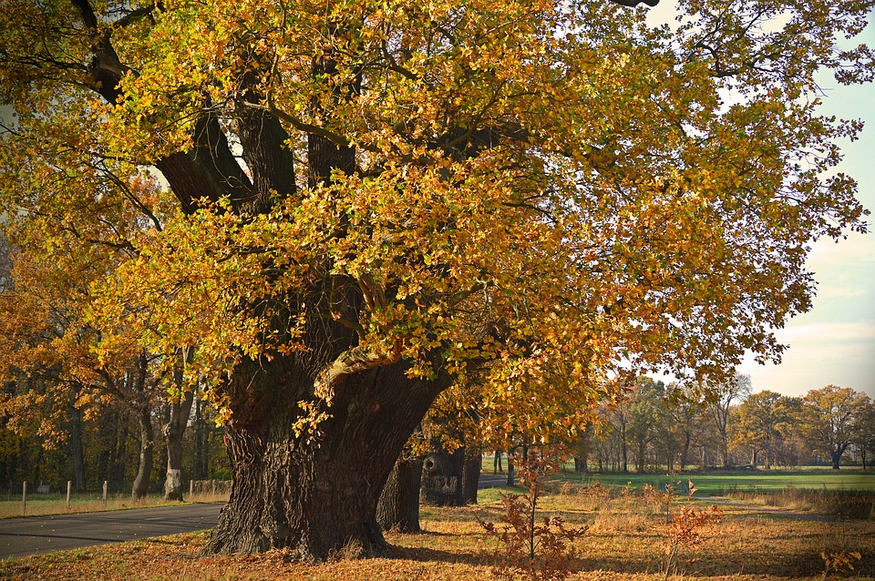 And finally… Special branch